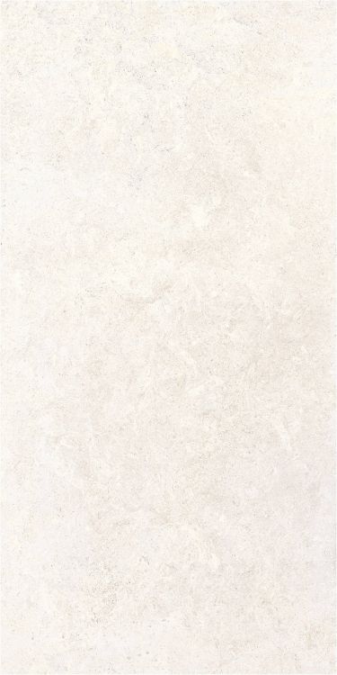 OL Limestone Bianco Matte 24 x 48